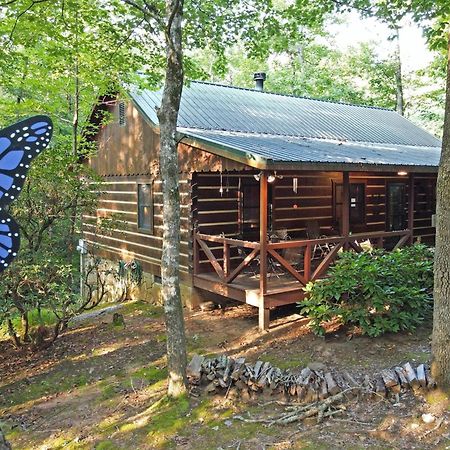 Laurel Creek- Blue Ridge Villa Eksteriør billede